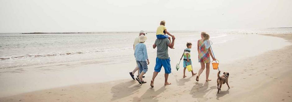 Family walking on the beach with their dog