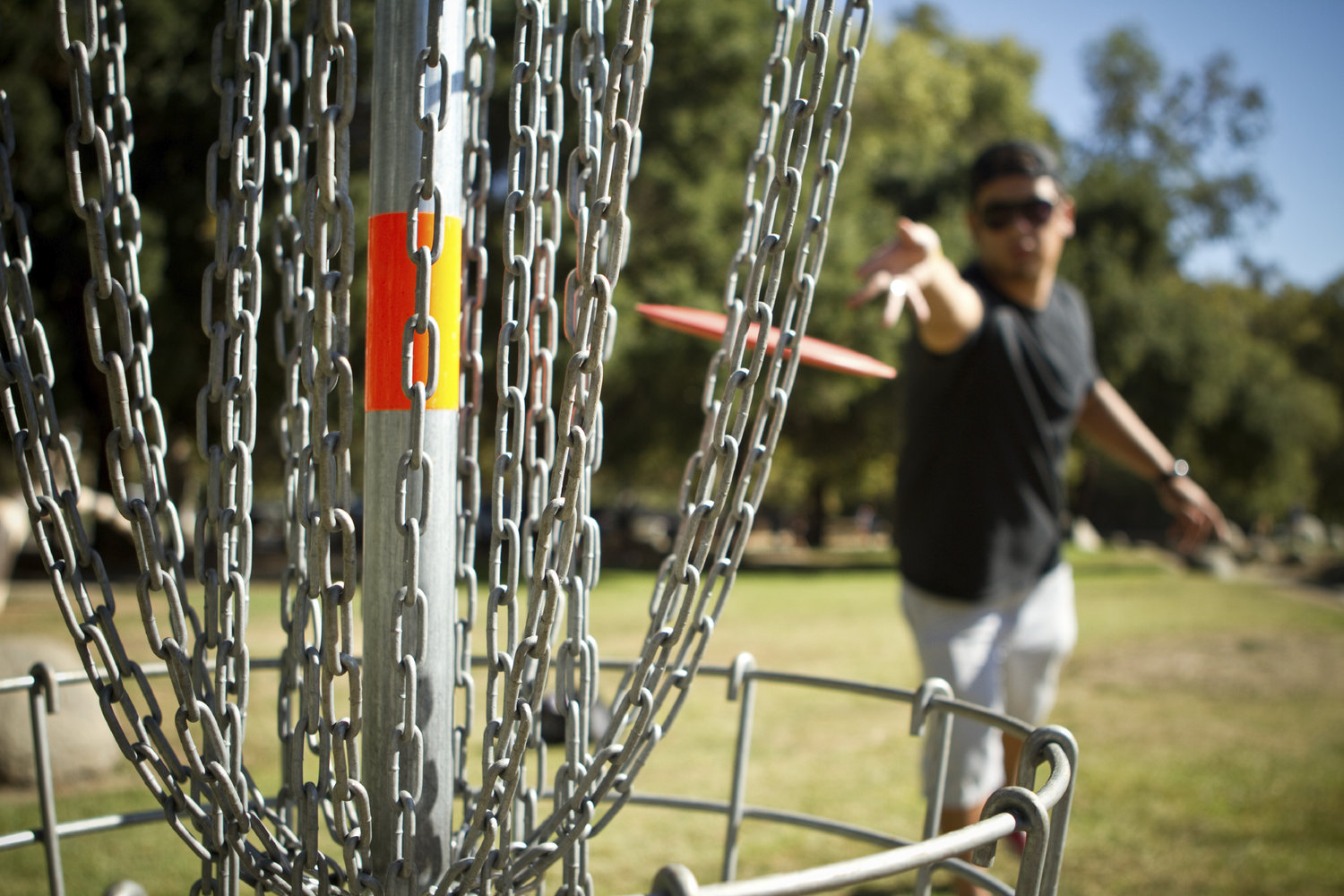 Good Hops Brewing Disc Golf